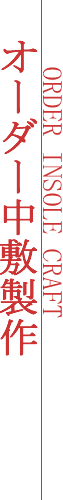 オーダーアインラーゲン縦見出し