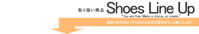 ラインナップ 商品案内