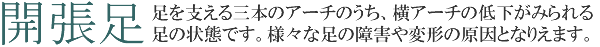 開張足タイトル